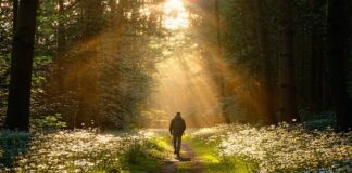 daily walking health advantages