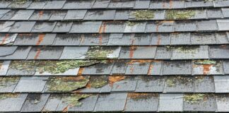 roof repair warning signs