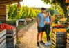 path to healthier living